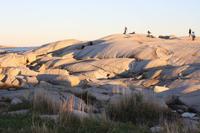 0547 Peggy's Cove, Nova Scotia