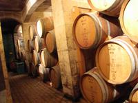 Panoramafahrt in den Norden Maltas - Weingut 