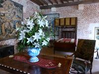 Château du Clos Lusé - Leonard de Vinci 