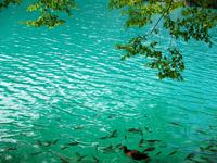 Nationalpark Plitvice