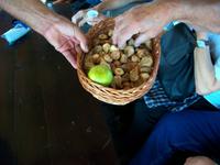 Bootsfahrt auf der Neretva