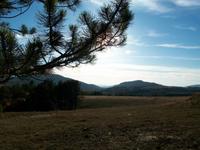 Zlatiborgebirge