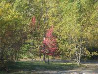 Im Park von Montmorency