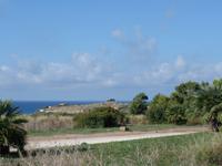 Blick auf die Akropolis, Selinunte