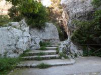 im Garten der Sinne, zum Ohr des Tyrannen...