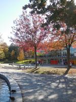 Parc du Montreal