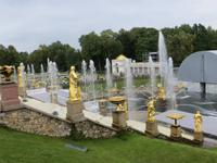 in Peterhof
