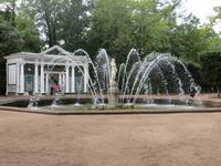 in Peterhof