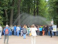 in Peterhof