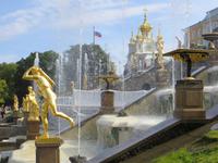 in Peterhof