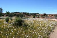 Sevilla Rock Art Trail