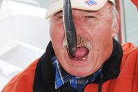 Immer diese EHT-Gäste, nehmen selbst den Robben das Frühstück weg