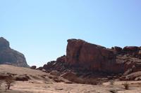 Bull`s Party - Elefantenkopf