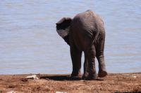 Kleiner Mann geht eigene Wege