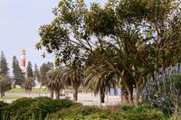 Swakopmund