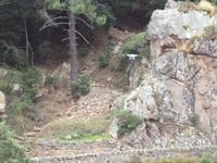 eine Drone nimmt die Landschaft auf