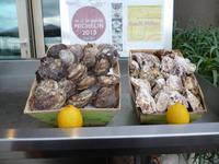 schmecken Muscheln?!