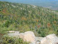 Blick vom  Berg Cadiallac im Acadia-Nationalpark