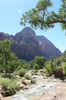 Spaziergang im Zion-Nationalpark