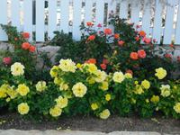 Hotelanlage Solaris Sibenik