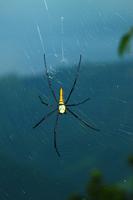 488 Rund ums Begnas Lake Resort