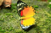 503 Wanderung in Pokhara