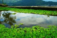 506 Wanderung in Pokhara