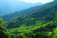 517 Wanderung in Pokhara