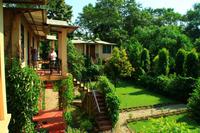 534 Im Chitwan Nationalpark