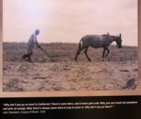 Parlamentsgebäude von Sacramento - Museum