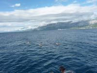 Badestopp auf der Überfahrt nach Makarska