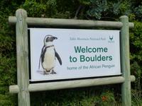082_Besuch der Pinguin-Kolonie