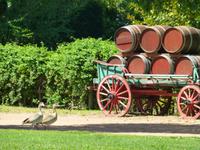 128_vor den Blaauwklippen