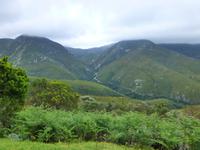 189_Fahrt entlang der Garden Route