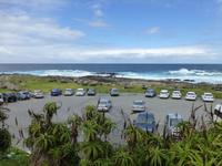 223_Im Tsitsikamma-Nationalpark