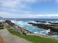 224_Im Tsitsikamma-Nationalpark