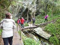 227_Im Tsitsikamma-Nationalpark