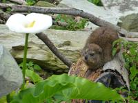 231_Im Tsitsikamma-Nationalpark