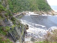 232_Im Tsitsikamma-Nationalpark