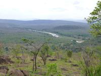 287_Wildbeobachtungsfahrt Hluhluwe-NP