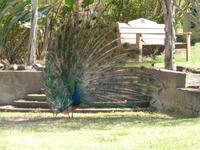 371_Besuch der Glasfabrik