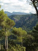 Wanderung von Esporles nach Banyalbufar
