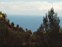 Wanderung von Esporles nach Banyalbufar