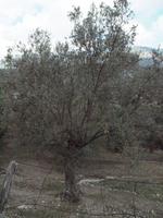 Wanderung im Tal von Orient