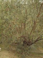 Wanderung im Tal von Orient