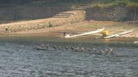 1868_Schifffahrt auf dem Li-Fluss - Kormorane