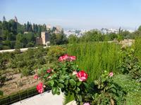 Blick zur Alhambra von den Gärten der Generalife