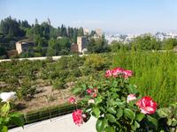 Blick zur Alhambra von den Gärten