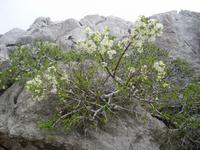 Wanderung zum Mali Alan