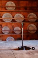 Sainte-Marie Among The Hurons